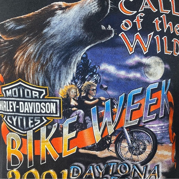 VTG HARLEY DAVIDSON HOLOUBEK BIKE WEEK TEE - Picture 8 of 10